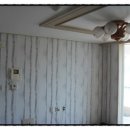 도배나라 이미지