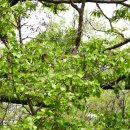 은평-014 이미지