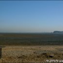 바람의노래 이미지