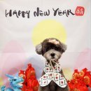 힐스타운 동물병원 이미지