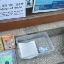 정동진독립영화제를 기다리며