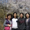 인동체육관 이미지