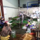 영운농장 이미지