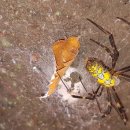 사랑밭재활원 이미지