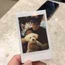 파이어벨