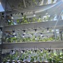 보광농장 이미지