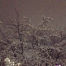 남광주LPG충전소 이미지