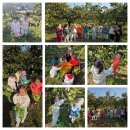 은하자연어린이집 이미지