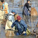 가래치기 이미지