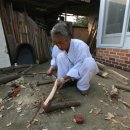 서천베틀장 이미지