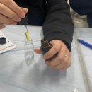 호남삼육고등학교 이미지