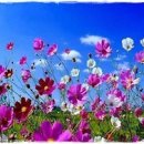 레이아웃 - 남구 | 레이아웃