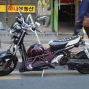 비본