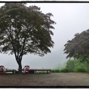 마티고개 이미지