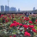 중화1동공영주차장 이미지