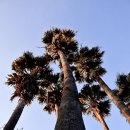 제주한우리 이미지