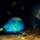 포토샵 기초 & GTQ 포토샵 2급 이미지