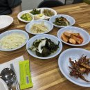 왕손김밥 | 250616-250630 I'm coming around again It's keeping me down like the bends