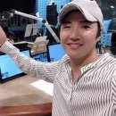 메이비 이미지