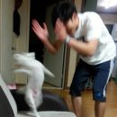 박종훈유도스쿨 이미지