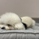 고잔유치원 이미지
