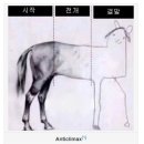 빅혼 이미지