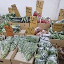 알뜰청과 이미지