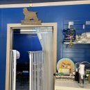 멍스바스 이미지