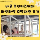 와랑와랑 | 배곧 무인키즈카페 와랑와랑 내돈내산 방문후기