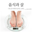 레디원 이미지