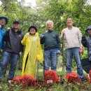 손병호농장 이미지