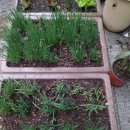 풍성농장 이미지