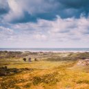 나훈아노래방 이미지