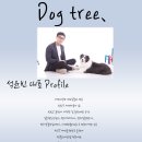 도그트리 이미지