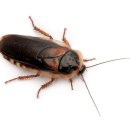 깔끔이환경 이미지