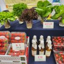Y-FARM EXPO 2025 귀농귀촌 박람회 현장 방문 후기 2편