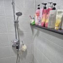 (주)세일펫 풍동지점 | 화장실 낙상방지 변기보조바 설치 노인 안전손잡이 시공