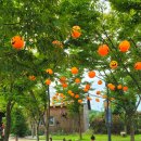 백수목장 이미지