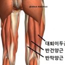 망고짐 이미지