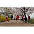 4월6일(토) 안양천 벚꽃길 걷기~~~~~ 쥐띠님들의 즐거운 하루~ 누가~누가 잘~뛰나^^ 이미지