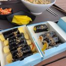 강아지랑 여수·고흥 가족여행 2박3일 코스 정리 - 반려견 동반 숙소·맛집·할머니 기일 여행 후기