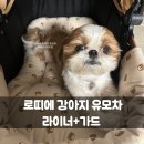 로띠에 강아지 유모차 방석 개모차 쿠션 라이너 가드핏 곰땡이 내돈내산 후기.