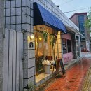 성수 분위기 좋은 와인바 포도리 네츄럴와인에 대하여 (내돈내산)