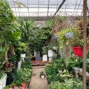 풍경화꽃식물원 이미지