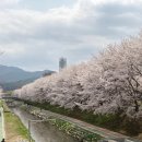 유량1교 이미지