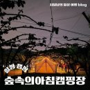 숲속아침 | 용인 힐링하기 좋은 숲속의 아침 캠핑장 주말농원 방문 후기(예약 및 명당)