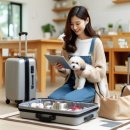 로이스애견풀빌라 | 경주애견동반숙소 위치별 시설 비교와 반려견 동반 후기 숙소 가이드