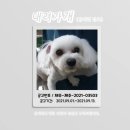 과원동로 이미지