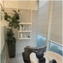 제인헤어 이미지