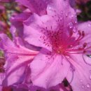 부안고등학교 이미지